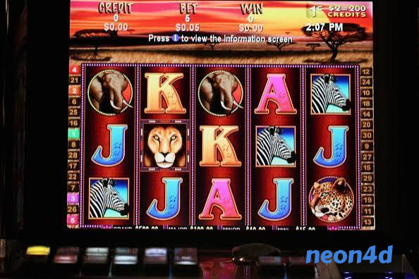 neon4d Slot Rooms Built for Your Lobby